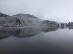 -庐山风景区花径公园