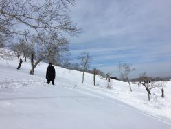 -大秃顶子山