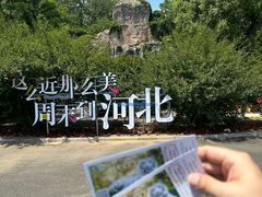 -秦皇岛野生动物园