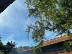 -普陀山风景名胜区-法雨禅寺