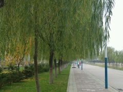 -长安大学(北校区)