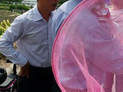 -大塘金香草谷