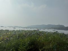 -湖畔居茶楼(湖滨店)