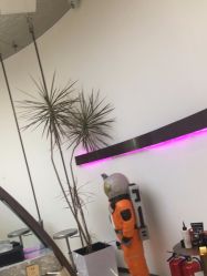 -In Style Hair Salon