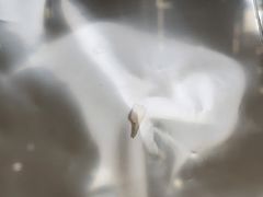 -茂菊口腔连锁(浦东南路店)