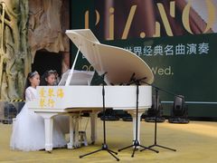 -爱琴海音乐培训·全品类乐器销售体验中心