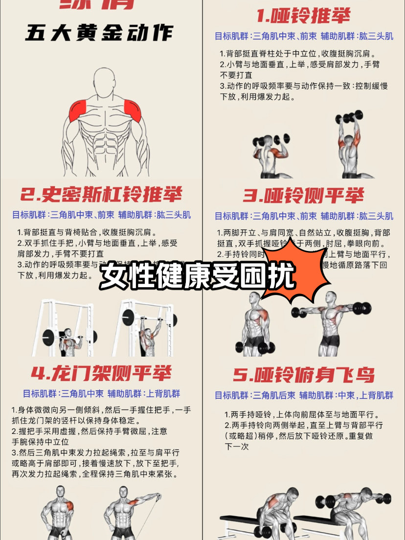 八个肩部训练动作图片