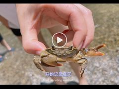 -山王坪喀斯特国家生态公园