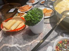 -禄婶鸡煲·打边炉