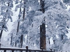 -瓦屋山景区