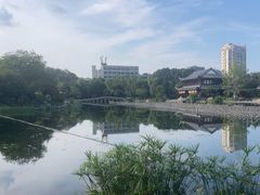 -北湖公园