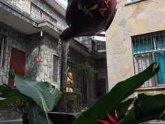 -天河潭旅游度假区