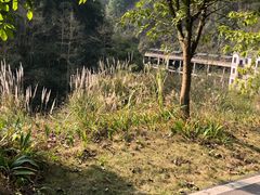 -华蓥山天意谷景区