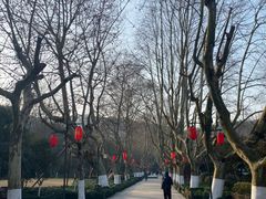 -杭州黄龙洞