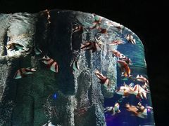 -福州罗源湾海洋世界旅游区