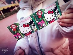 -杭州Hello Kitty乐园