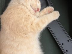 -comecome来吧宠物(奥克斯中心店)