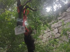 -腊山国家森林公园