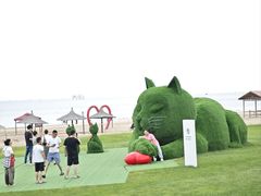 -秦皇岛阿尔卡迪亚滨海度假酒店