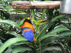 -南宫五洲植物乐园