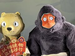 -SFC上影影城(杭州下沙IMAX店)
