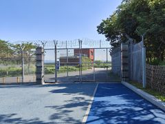 -福田红树林生态公园