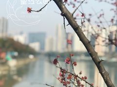 -望江楼公园