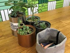-Green Option(官舍店)