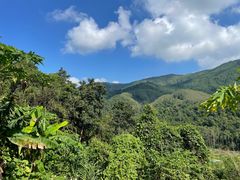 -象头山国家级自然保护区