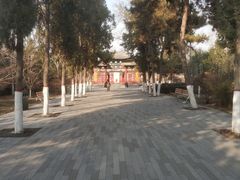 -太原动物园