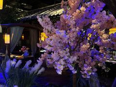 -绿茶餐厅(昆明世纪金源店)