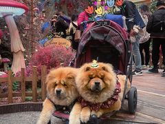 -太古广场