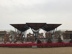 -上海长兴岛郊野公园