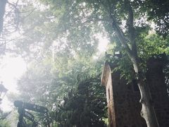 -紫金山天文台