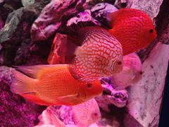 -多彩贵州城极地海洋世界