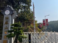 -黄埔油麻山森林公园