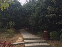 -七娘山