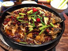 -老板恋上鱼(高新万达店)