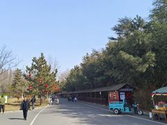 -日照海滨国家森林公园