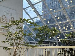 -大树餐厅(红旗街万达店)