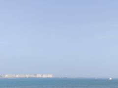 -大湾区中央湿地公园