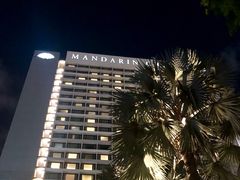 -新加坡文华东方酒店