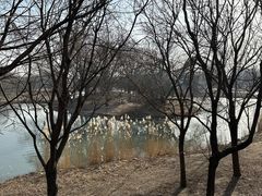 -北京麋鹿生态实验中心