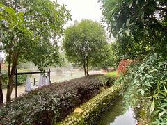 -三江森林温泉度假区