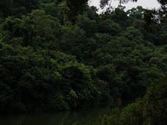 -深圳仙湖植物园