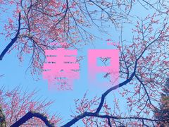 -杭州植物园