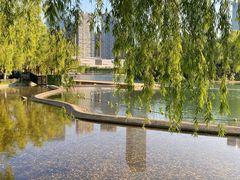 -天鹅湖体育公园