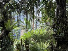 -东莞植物园