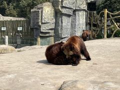 -常州淹城野生动物世界