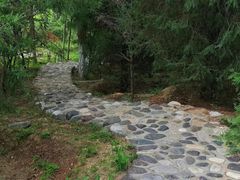 -永定河休闲森林公园